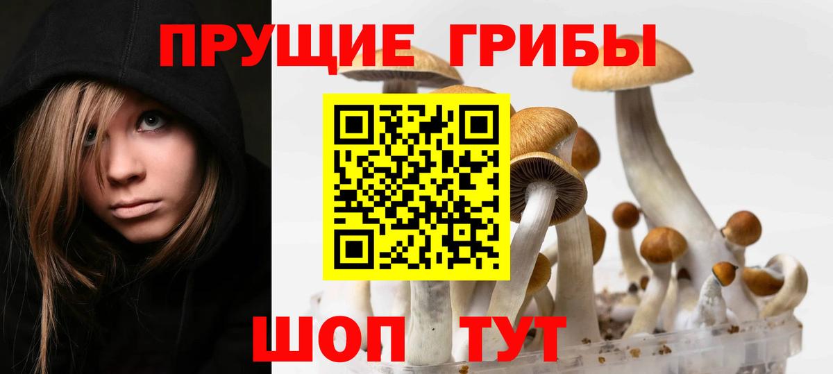 Галлюциногенные грибы Cubensis Балашиха